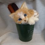 作品【受注制作　羊毛フェルト】　缶から猫