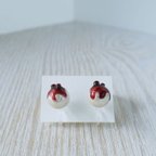 作品oshiruko.earrings