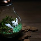 作品Bulb Planter《にゃんこ先生の油断》