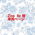 作品Zoe  liz様　専用ページです