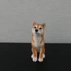 作品沢山話せる相手です…柴犬…羊毛フェルト