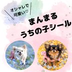 作品◎おまけ付き◎まんまるうちの子シール　ステッカー　オーダーシール　犬　猫　赤ちゃん　子供