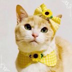 作品送料無料☆彡丸襟に向日葵とレースが可愛い〜猫の首輪