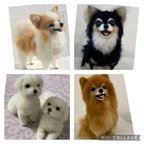 作品羊毛フェルトオーダー受け付け致します！犬、猫など