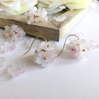 作品ニリンソウの花　ブーケピアス/イヤリング