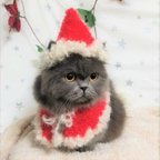 作品 きらふわ🎅サンタ帽子🐱猫、小型犬用