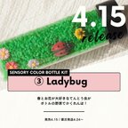 作品センサリーボトルキット③Ladybug