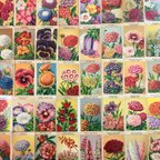 作品フランス 花のクロモスカード 50枚 海外 紙もの ジャンクジャーナル 素材 雑貨 06012-23