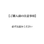 作品【ご購入前に必ずお読みください】