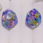 作品♡ 本物のお花×カラフルかすみ草 樹脂イヤリング♡ ピアス変更可能！