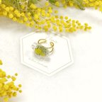 作品mimosa    series ring