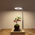 作品植物育成LEDライトスタンド（タモ和風）