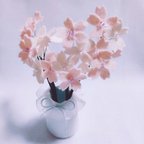 作品【送料無料】桜の花