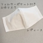 作品【難あり＆試作品】立体マスク フィルターポケット付き (レディース)