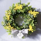 作品【mimosa eucalyptus natural chiffon wreath】ミモザ ユーカリ ナチュラル シフォン リース