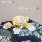 作品春限定🌸〈もふもち〉桜しゃーく丸 🌸