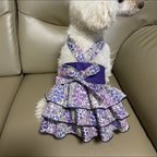 作品犬服　完成品値引き　小花のスカート