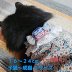 作品[一点限り]MILKキャンディの首輪🐮🍬