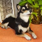 作品オーダーメイド犬   オーダー柴犬   黒柴犬   黒豆柴   メモリアル犬    思い出を形に♥️