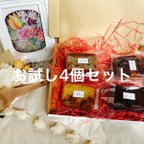 作品★お買い得なお試し試食用4個セット★