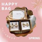 作品ハレノヒおまかせHappybag