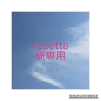 作品rosetta 様専用