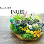 作品INU様　お取り置き品癒しの小鳥＆ワンコ　ミニ雑貨　お庭で散歩　クリアBOXに入れてのお届けです