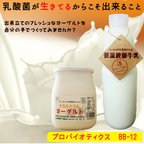 作品【超簡単!家庭でヨーグルト製造】ヨーグルトを作ろう!　低温殺菌牛乳+ヨーグルト