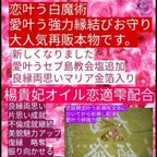 作品恋も金運も叶う掴む　陰陽師霊視　お守りマリア人形つき必ず変わりたい幸せになりたい人限定