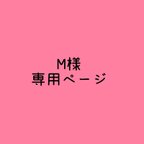 作品M様様専用ページ𓅪ウェットテッシュケース𓅪ꪔ̤̫オムツポーチꪔ̤̫