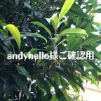 作品andyhello様ご確認用　専用ページ