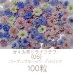 作品(05)かすみ草ドライフラワー100粒