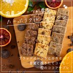 作品送料無料】自家製国産柑橘ピールとカカオとコーヒーのサブレ ブラッドオレンジ カカオ チョコレート 焼き菓子 手土産 おやつ