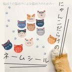 作品【カット済み】にゃんこだらけのネームシール