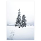 作品【冬 景色 アートポスター】雪 木 風景写真 インテリア雑貨 クリスマスツリー モミの木 飾り モダンアート 壁掛け