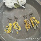 作品✤再販✤【葉っぱ色Ａ】タティングレース「サウンドシャワー」～mimosa～ mogran ミモザ2020