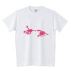 作品crayfish ザリガニの落書き風プリントTシャツ