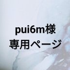 作品pui6m様専用ページ