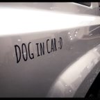 作品" DOG IN CAR " 車用ステッカー