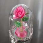 作品🌹ガラスドームの薔薇🌹ピンク