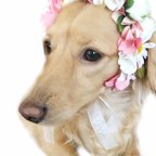 作品2wayチョーカー ヘッドドレス ネックドレス 小型犬 ペット アクセサリー ウエディング ピンク お祝い おしゃれ 飾り