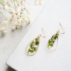 作品"Peridot×Chrome diopside" 14kgf  ペリドット クロムダイオプサイト 天然石 ワイヤー ピアス☽ 