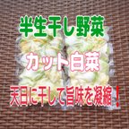 作品【おためしサイズ】 半生干し野菜 カット白菜200g×2