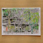 作品A4サイズ「 京都　哲学の道　新緑」　京の水彩画工房