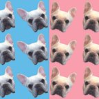 作品French Bulldog ポストカード 2枚セット