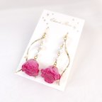 作品 *＊ Cherry Pink & Pearl ＊*  薔薇 ピアス イヤリング