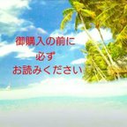 作品御購入前に、必ず御一読下さい。