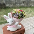 作品★送料無料★♡そのまま飾れる♡うさぎちゃんの可愛い多肉植物寄せ植え╰(*´︶`*)╯♡