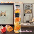 作品透かしほおずきハーバリウム【オレンジ】円柱瓶Mサイズ