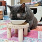 作品【2個セット】どこでもちゃぶ台🐱フードテーブル　フードスタンド　ご飯台　食器台　餌台　